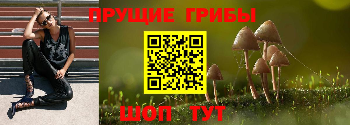 Псилоцибиновые грибы MAGIC MUSHROOMS  как найти   Мичуринск  Псилоцибиновые грибы Psilocybine cubensis  Вход с VPN 